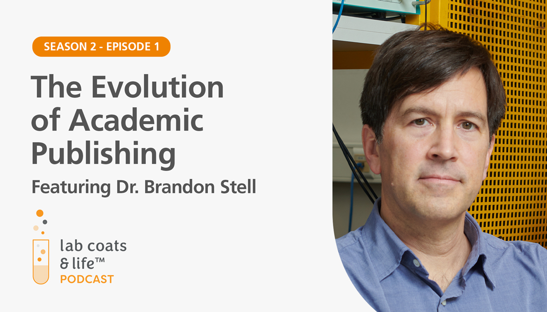Brandon Stell